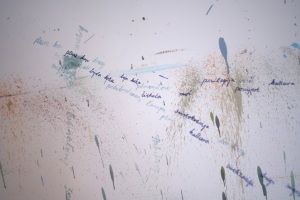 DSCF1968