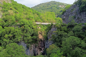 zakalj