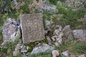 MG_9619