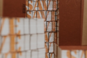 SAVE_Praputnjak_10102026-23-1-1