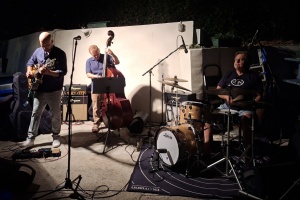 radisic4