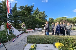 vijenci11