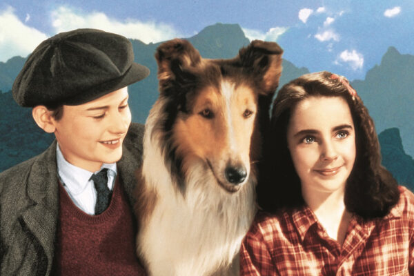 „Lassie se vraća kući”, projekcija pod zvijezdama