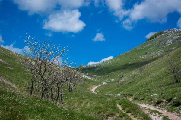 Na današnji dan osnovano je Riječko planinarsko društvo