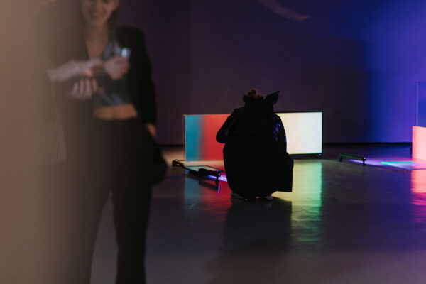 Stručno vodstvo za građanstvo izložbom „Glowing Globe: Anthropocene Art“