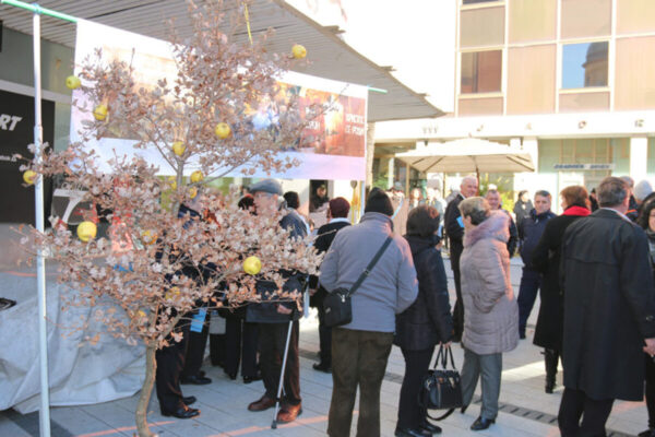 Tradicionalna proslava Badnjaka po Julijanskom kalendaru na Koblerovom trgu