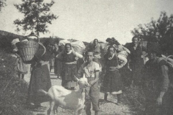 CRTICA O PRAVU NA RAD ISTRANKI IZMEĐU DVA RATA