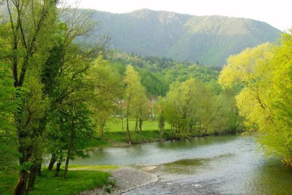 Festival znanosti u Kaštelu Zrinskih u Brodu na Kupi: Djeca istražuju svijet kukaca i rakova rijeke Kupe