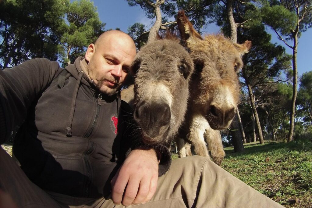Hrvoje Cokarić: Pomozite marjanskim magarcima sačuvati život, a Splitu dušu