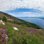 Cres u znaku meda, meha i pomorske baštine