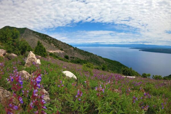 Cres u znaku meda, meha i pomorske baštine