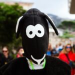 Baška ponovno oblači crno runo: jubilarna Crna ovca donosi tri dana janjetine, glazbe, kulture i sporta