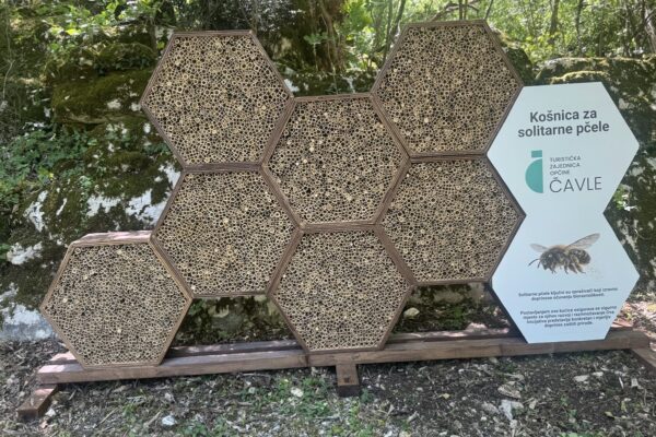 Mali dom za velike pomagače prirode: na Kalini postavljena košnica za solitarne pčele