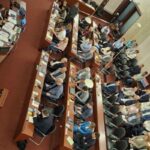 Gradsko vijeće dodijelilo javna priznanja, Jasni Arigoni nagrada za životno djelo