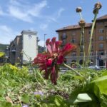 Mladi fotografi Fotokluba Rijeka u Principiju predstavljaju svakodnevicu grada