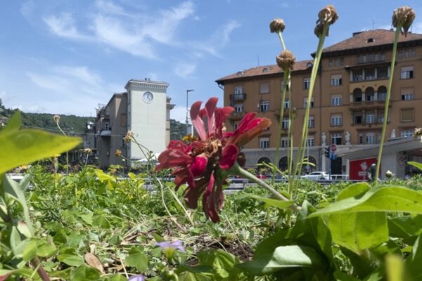 Mladi fotografi Fotokluba Rijeka u Principiju predstavljaju svakodnevicu grada