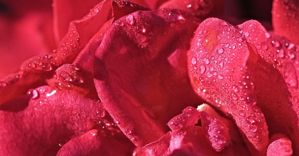 Menstruacija i drugi neprijatelji: Zašto se i dalje bojimo razgovora o ženskom tijelu