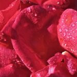 Menstruacija i drugi neprijatelji: Zašto se i dalje bojimo razgovora o ženskom tijelu