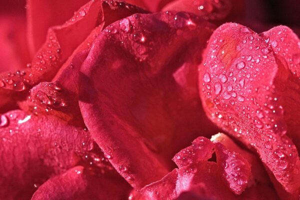 Menstruacija i drugi neprijatelji: Zašto se i dalje bojimo razgovora o ženskom tijelu