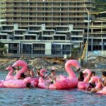 Od Milijane Babić preko Marina Miletića do Ive Vičića Arexxa: Plaža koje više nema još uvijek se može čuti