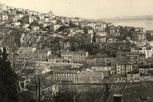 Na današnji dan 1964. preminuo je biolog Umberto D’Ancona