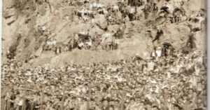Na današnji dan 1962. Rijeka je prvi put pobijedila Hajduk, a na Kantridi se urušile grote