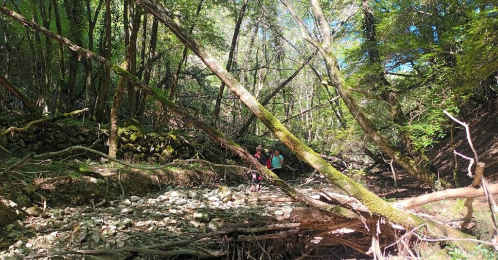 „Krčka Amazona“ za kraj sezone: posljednja šetnja dolinom potoka Rakovik