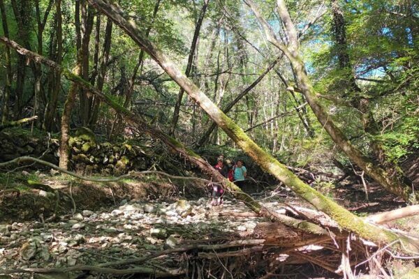 „Krčka Amazona“ za kraj sezone: posljednja šetnja dolinom potoka Rakovik