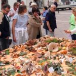 Stotinjak vrsta gljiva na Korzu: Marija Klarić upozorava – berite samo ono što poznajete!