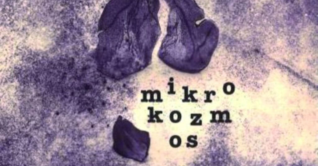 Korina Juretić Faraguna predstavlja „Mikrokozmos“: Poezija na grobničkoj čakavštini, hrvatskom i engleskom jeziku