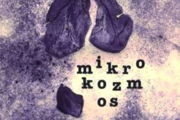 Korina Juretić Faraguna predstavlja „Mikrokozmos“: Poezija na grobničkoj čakavštini, hrvatskom i engleskom jeziku